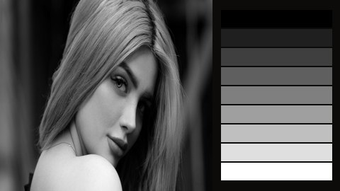 A portrait in grey beside a nine-step value scale