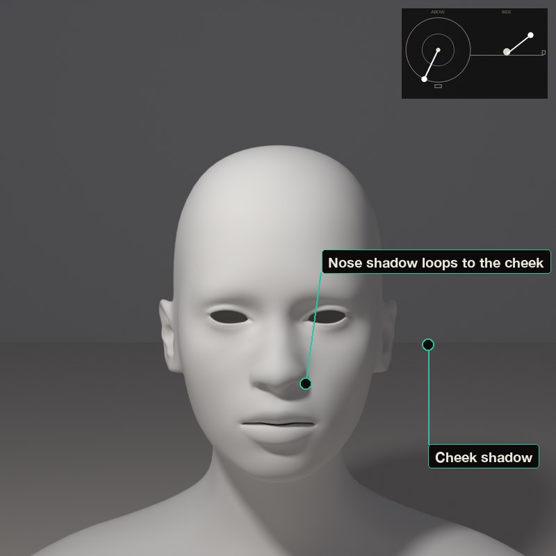 Loop: the nose shadow reaches toward the corner of the mouth but does not join the cheek shadow.