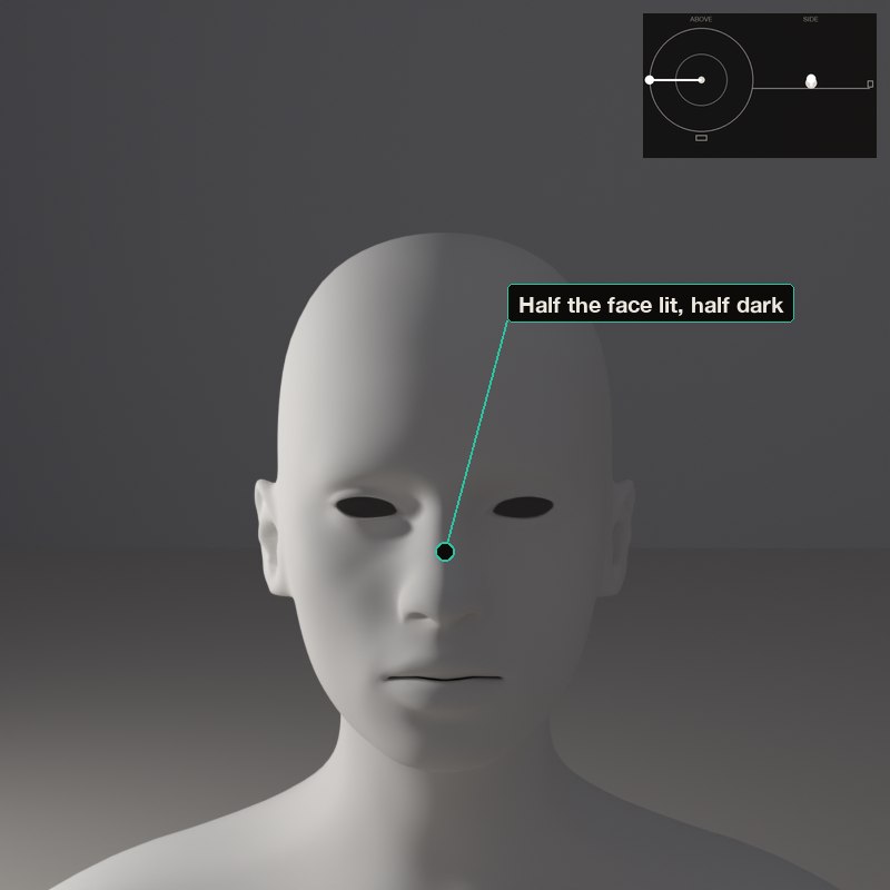 Split: the dividing line runs down the centre of the face, nose included.