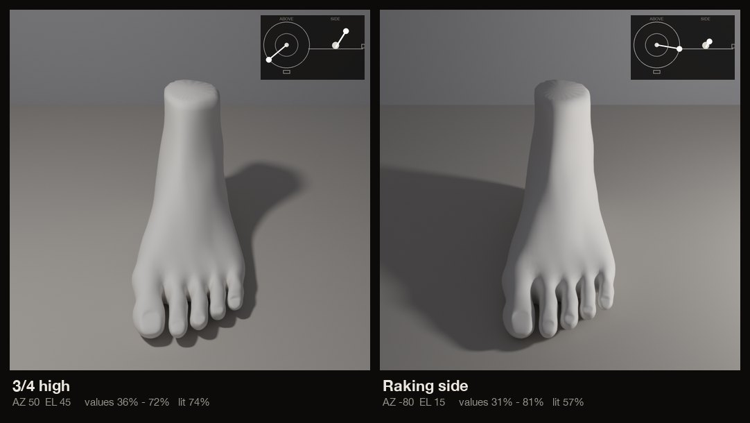 The foot