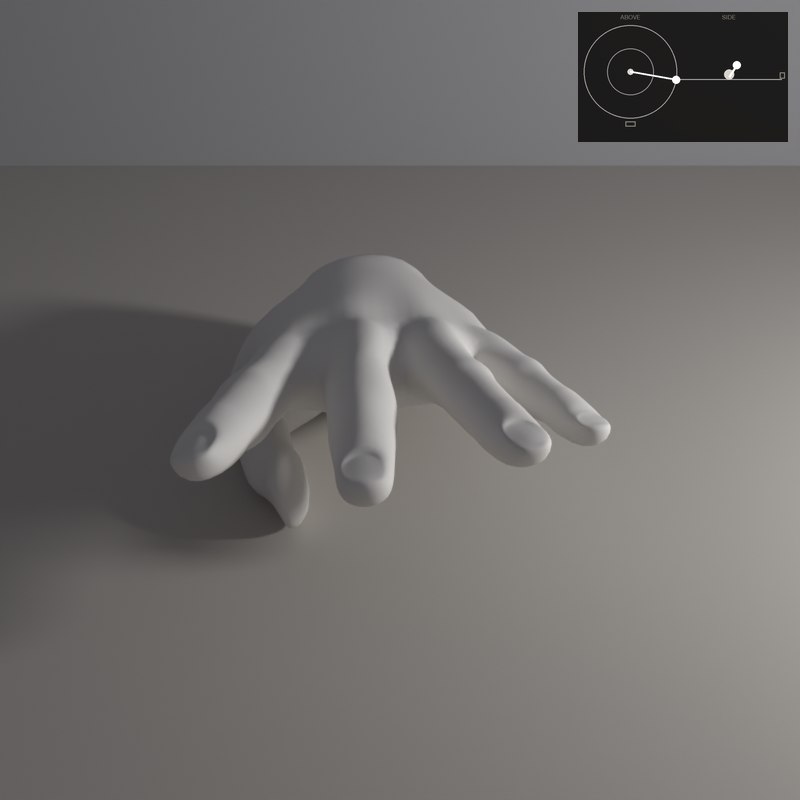 Light from the side makes the long tendons and the creases of the hand read.