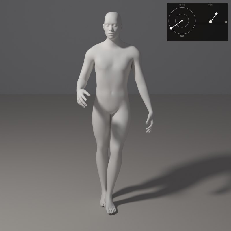 With top light, the shoulders and head are bright; the legs fade into shadow.